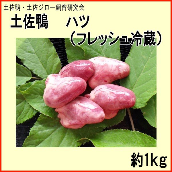 土佐鴨 ハツ （フレッシュ冷蔵） 約1kg