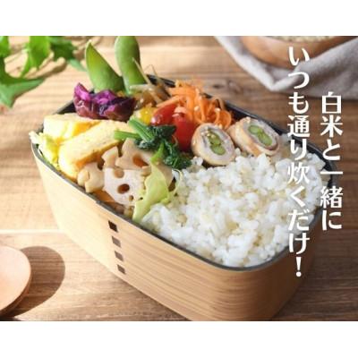 ふるさと納税 山鹿市 くまもとの元気!　発芽玄米2kg×2袋