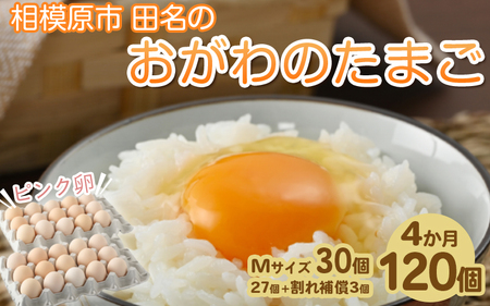 相模原市田名のおがわのたまご　ピンク卵 Mサイズ 30個(27個＋割れ補償3個)×4か月 卵 鶏卵 玉子 たまご 生卵 国産 濃厚 コク 旨味 旨み