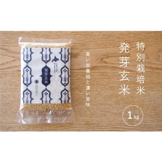 ふるさと納税 北海道 当麻町 特別栽培米「発芽玄米」1kg　舟山農産