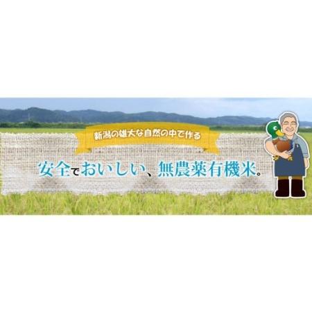 ふるさと納税 定期便 3か月 ミルキークイーン 特別栽培米 5分搗き 計15kg (5kg×3個) ミルキークイーン 精米 お米 ミルキークイーン【定期便.. 新潟県三条市