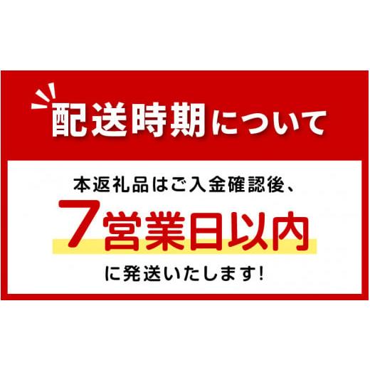 ふるさと納税 北海道 北見市 《7営業日以内に発送》大地の恵み北海道オニオンスープ 12袋×1箱 スープ オニオンスープ 玉葱 タマネギ たまねぎ 即席 ふるさ…