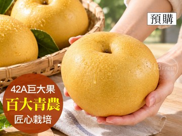 特級寶島甘露梨42A