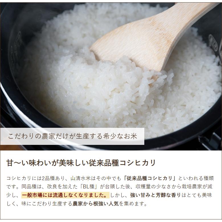 特別栽培米（減農薬・減化学肥料）魚沼産 棚田栽培 山清水米コシヒカリ（従来品種）玄米5kg NPO法人地域おこし 送料無料