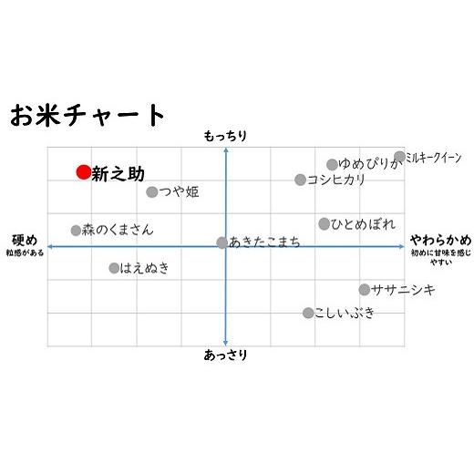 ふるさと納税 新潟県 柏崎市 令和5年産新米新之助 白米 20kg（5kg×4袋）[C407]