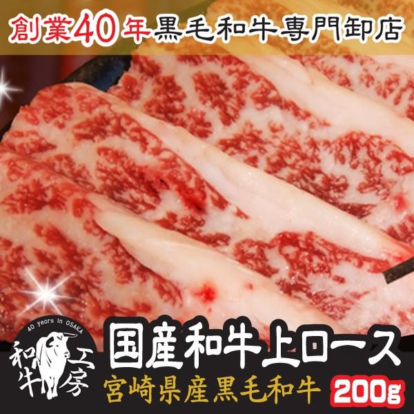 ロース 肉 ホルモン 宮崎県産 和牛 上ロース 200g お試し ギフト