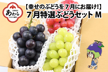 10月特選 ぶどうセットM 1kg以上（2～3房）／ 葡萄 シャインマスカット 完熟 ゴールデン シャイン 品種 おまかせ あわら 農家おすすめ ※2024年10月より順次発送