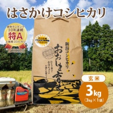 限定米令和5年産 新潟上越大島産 特A棚田はさがけ天日干し米コシヒカリ3kg(3kg×1)玄米