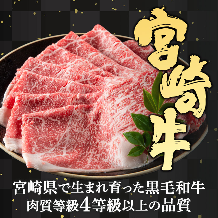 宮崎牛！牛こま肉＆ミンチ(計1kg・こま肉400g、ミンチ600g)