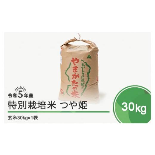 ふるさと納税 山形県 大石田町 令和6年1月下旬発送 つや姫30kg 玄米 先行予約 令和5年産