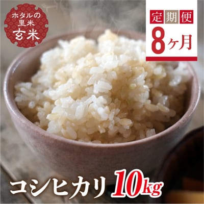 栽培期間中、農薬を減らした栽培米 コシヒカリ玄米10kg