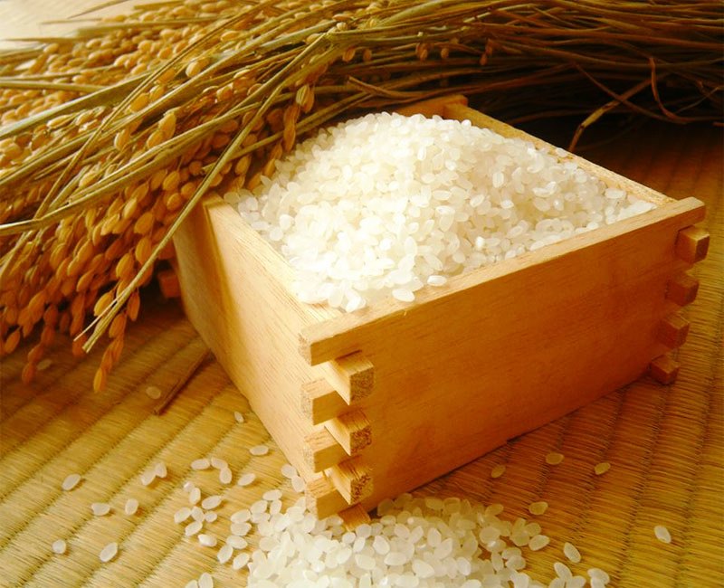 信州八重原　謙太郎米　コシヒカリ白米１０ｋｇ（特別栽培米）