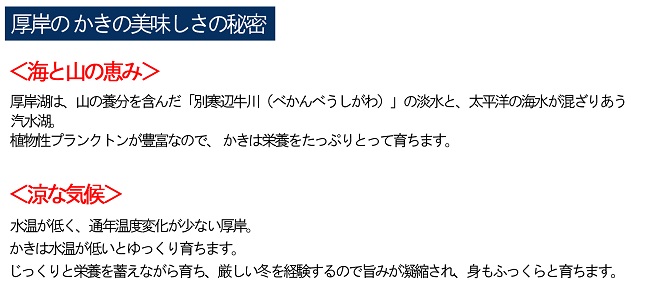 牡蠣 厚岸産 殻かき  あさり セット