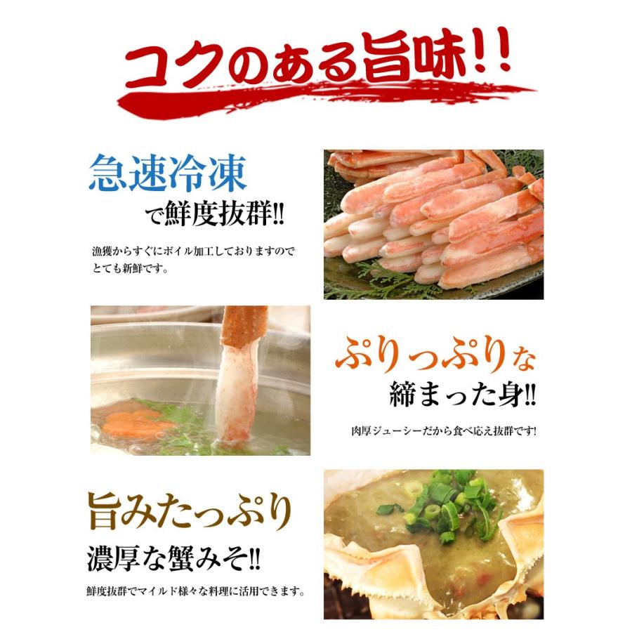  ボイル済み 本ズワイ蟹 2.7kg  本ずわい蟹 本ズワイ蟹 本ずわい 本ズワイ かに カニ 蟹 ボイル済み