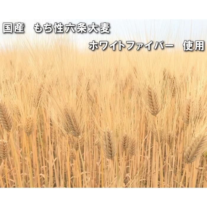  国産もち麦 たっぷり 業務用 5kg ホワイトファイバー 品種使用