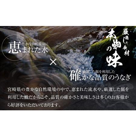 ふるさと納税 国産うなぎ蒲焼き特大サイズ(181〜215g)・蒲焼きざみセット 宮崎県宮崎市