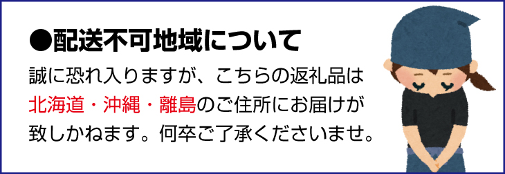 和歌山産ミニトマト「アイコトマト」約2kg（S・Mサイズおまかせ）  