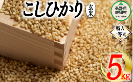 玄米 コシヒカリ 5kg 特A 沖縄県への配送不可 ふるさと振興公社 お米 こしひかり 信州 長野県 飯綱町 [1559]