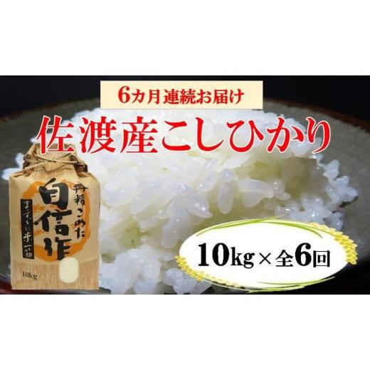 ふるさと納税 新潟県 佐渡市 佐渡産高千産こしひかり 10kg