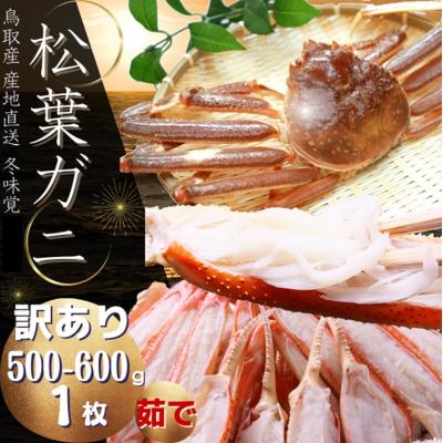 ふるさと納税 鳥取市 松葉がに(茹で・訳あり)500〜600g 1枚