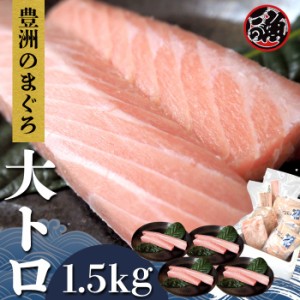 大トロ　1．5ｋｇ 極上 お刺身 トロ　 メバチ マグロ まぐろ 天然 国産