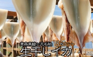 イカ 青森県産 一本釣りいか 使用 鰺ヶ沢 名物 天日生干しイカ セット （2Kg以上6枚～10枚入り） いか 干物 干物セット するめ スルメ スルメイカ 海鮮 魚介類 魚介 海産物 ※ ご入金確認後 3ヶ月以内の発送になります。