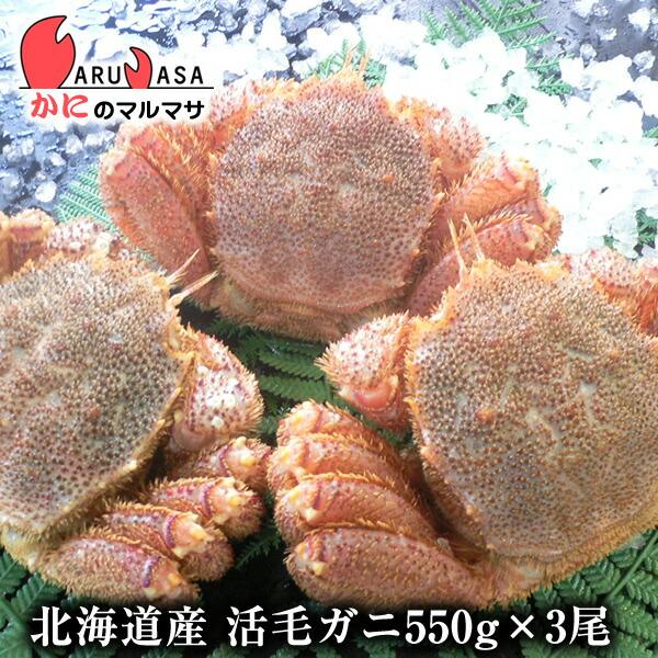 活毛がに 550g 3尾セット 北海道産 極上毛ガニ お歳暮 ギフト お土産 通販