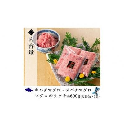 ふるさと納税 いちき串木野市 ネギトロ用マグロのタタキ　約600g