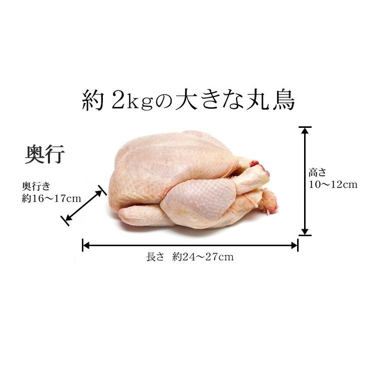 丸鳥 紀の国みかんどり 中抜き 丸鶏 1羽 中サイズ 約2kg〜2.4kg (冷凍) 国産 鶏肉 クリスマスに