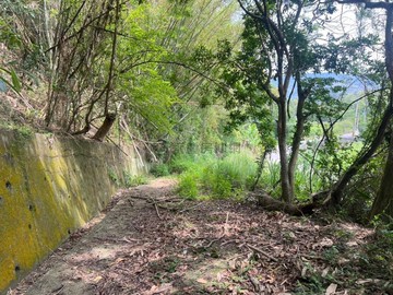 苑裡超大地坪農地+透天｜苗栗縣苑裡鎮蕉埔