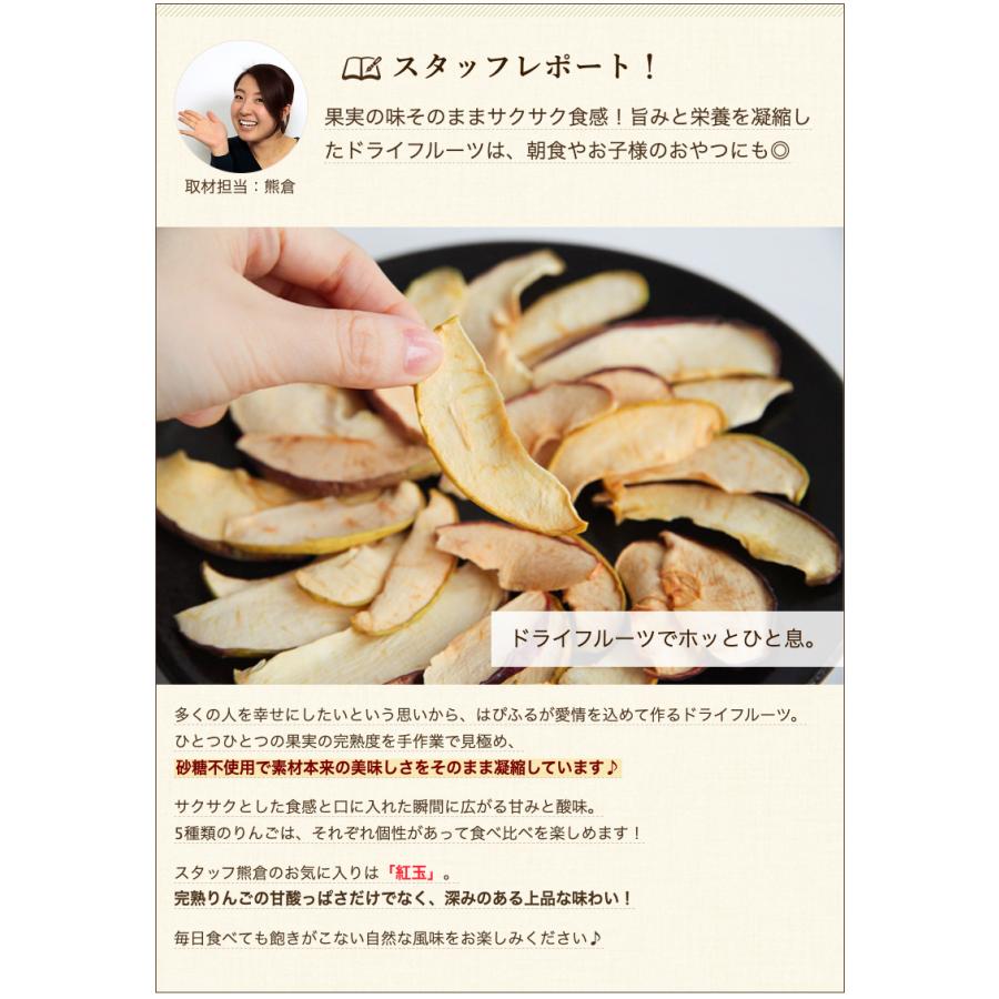 ドライフルーツ 選べるりんご3種詰め合わせ ギフトにも！ のし無料 送料無料