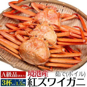 A級品 紅ズワイガニ 4杯～6杯 (合計1.5kg前後) 姿 かに ボイル カニ 蟹味噌 紅ずわい蟹 日本海 山陰 産直 国産 鳥取県 境港 べに