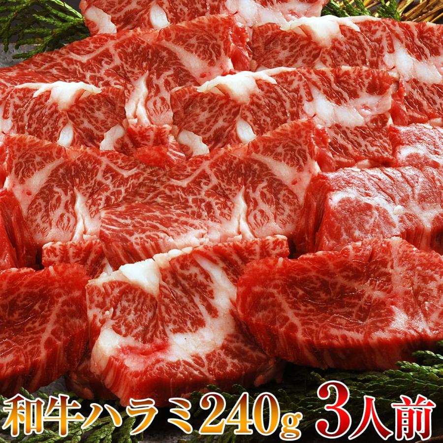 和牛 ハラミ 240g（3人前） 焼肉用