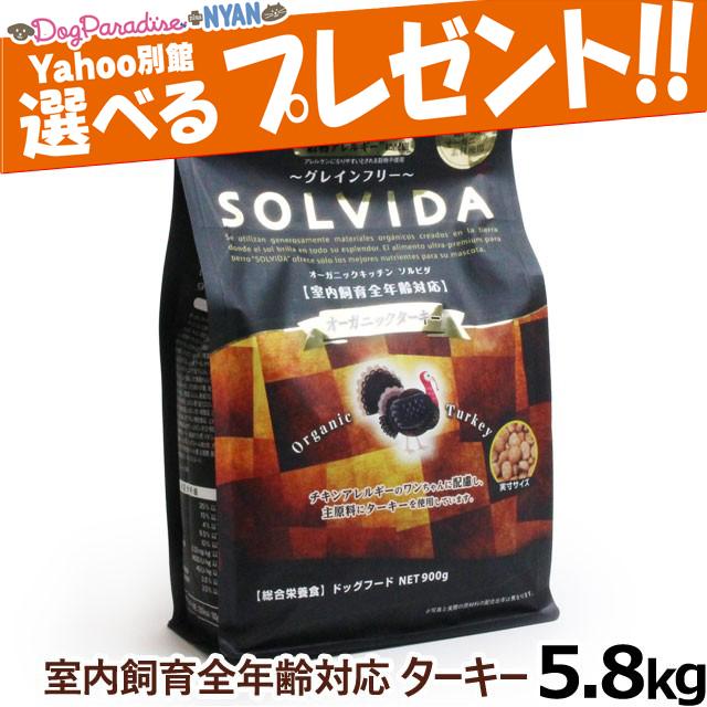 選べるプレゼント付き)ソルビダ SOLVIDA グレインフリー ターキー 室内