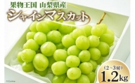 ぶどう シャインマスカット 1.2kg (2～3房) [OUTTA REACH JAPAN 山梨県 韮崎市 20742336] フルーツ 果物 マスカット ブドウ 産地直送 数量限定 期間限定