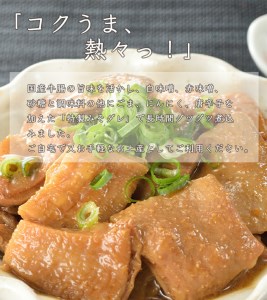 コクうま牛ホルモン土手煮 5パック