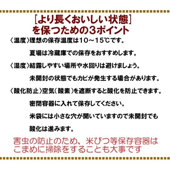 新米 10kg 5kg×2 玄米 特別栽培米 コシヒカリ 令和5年 新潟県 糸魚川 能生米  農家直送 送料無料