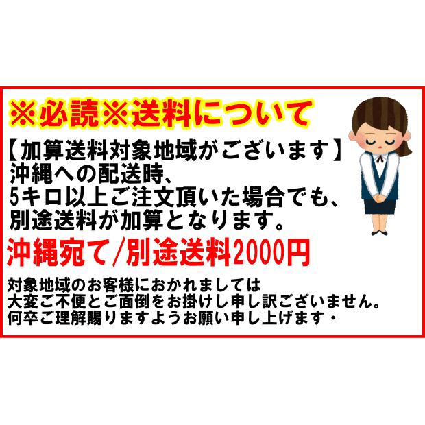 青森 にんにく 1kg 青森 訳あり Lサイズ厳選 C品 並級 国産 ニンニク 中国産と比べて