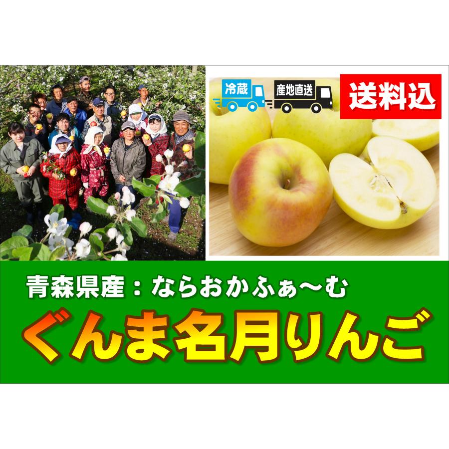 産直品 B-3 青森県産：ならおかふぁ〜む ぐんま名月りんご　約5kg・1箱（14〜16玉入）