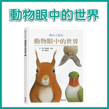 [手上拿書] 動物眼中的世界 上誼 知識繪本 了解動物 動物視力 動物科普 知識
