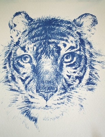藍晒-tiger-D-3096