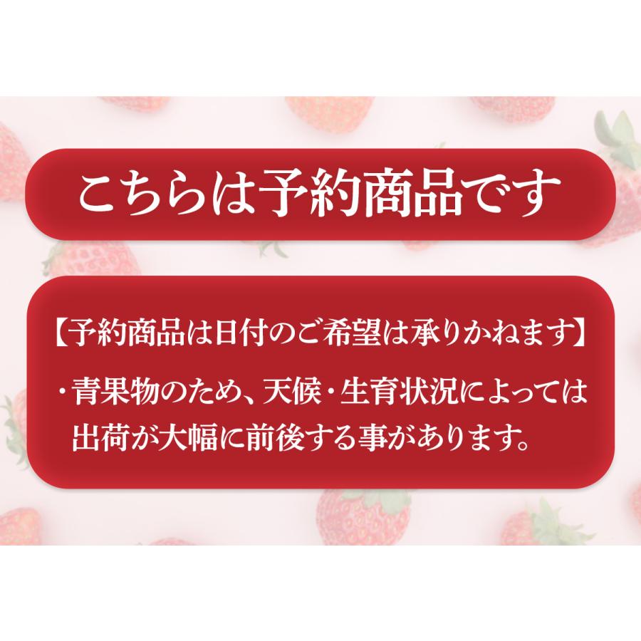 あまおう いちご 500g-1000g 福岡県産 イチゴ 秀品 ギフト 贈り物 プレゼント お祝い 果物 フルーツ 先行予約 クール便