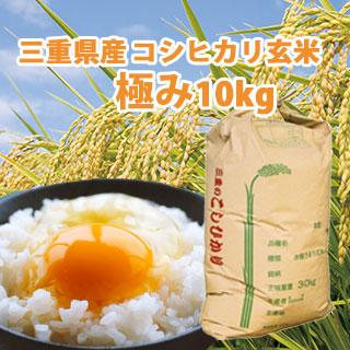 令和5年産  コシヒカリ  良質米「極み」玄米 10kg 三重県産 米 コメ お米 10キロ こしひかり