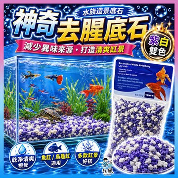 台灣現貨出貨【神奇去腥底石】去腥味 除臭 底沙 鬥魚缸 底砂 鬥魚 蝦 除氯劑 除尿味 魚缸造景 吸氨石 魚缸 烏龜飼養