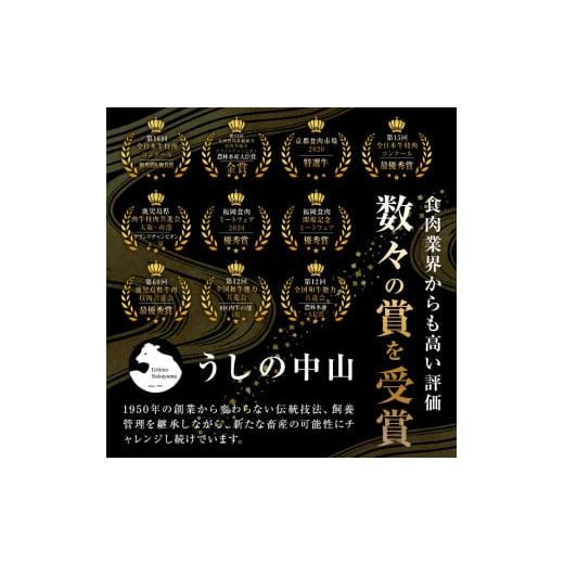 ふるさと納税 鹿児島県 志布志市 鹿児島県産 A4・A5等級うしの中山黒毛和牛赤身焼肉用600g?a5-263