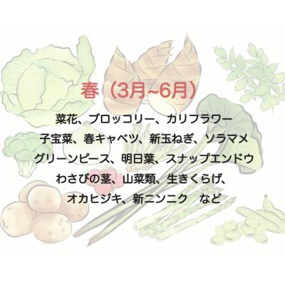 ふるさと納税 南伊豆町 湯の花　季節の野菜と果物セット