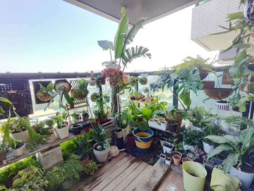 今日不買，明日後悔❗漾CITY三房平移車位｜楠梓｜高雄市楠梓區金富街