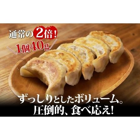 ふるさと納税 1810. よだれ餃子 10個入 2パック 計20個 餃子 ぎょうざ ギョウザ ギョーザ 生餃子 冷凍 中華 豚 肉 野菜 厚皮 焼き 惣菜 おかず.. 北海道弟子屈町