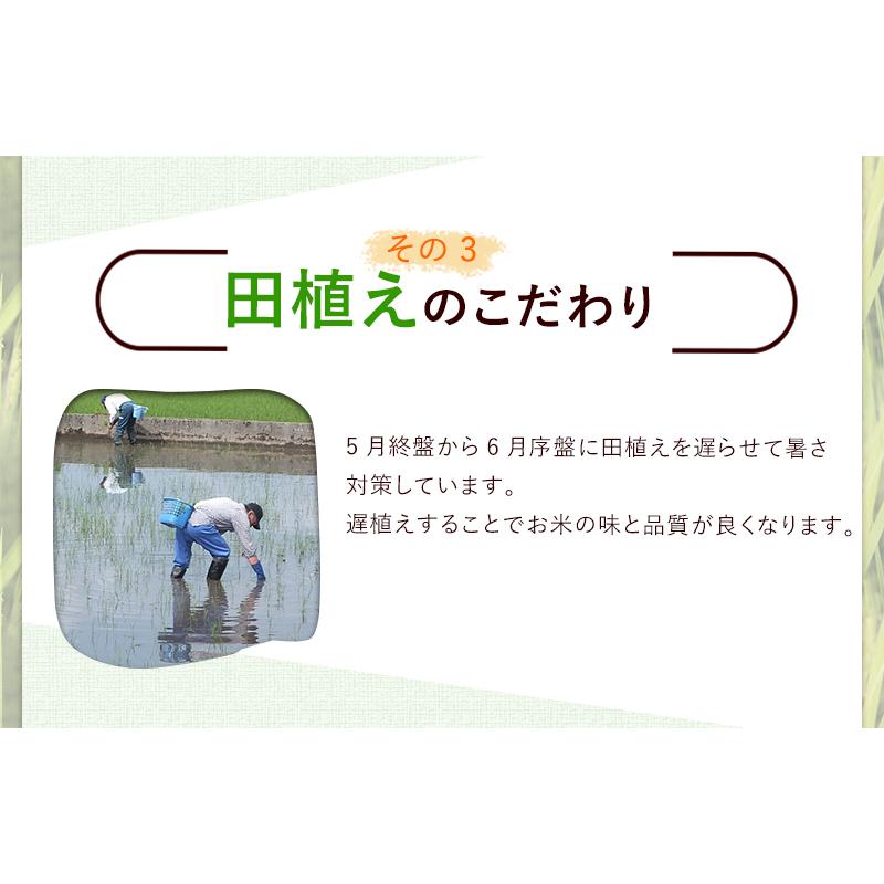 新米入荷 減農薬・無化学肥料栽培 コシヒカリ「福の舞」2kg 送料無料 令和5年福井県産