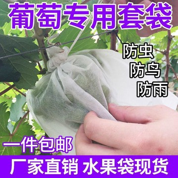 絲瓜套袋 苦瓜套袋 節瓜套袋 小黃瓜套袋 蔬果防蟲套袋 無紡布加厚抽繩防蟲套袋 防鳥防蜂透氣蔬果套袋 瓜果網袋100 入